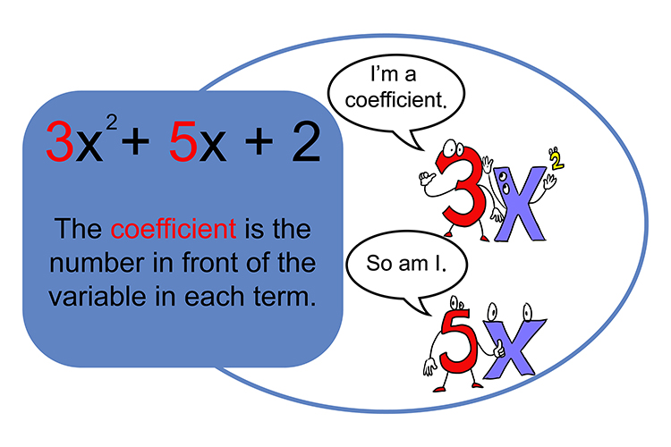 Coefficient numbers are always shown in front of a variable